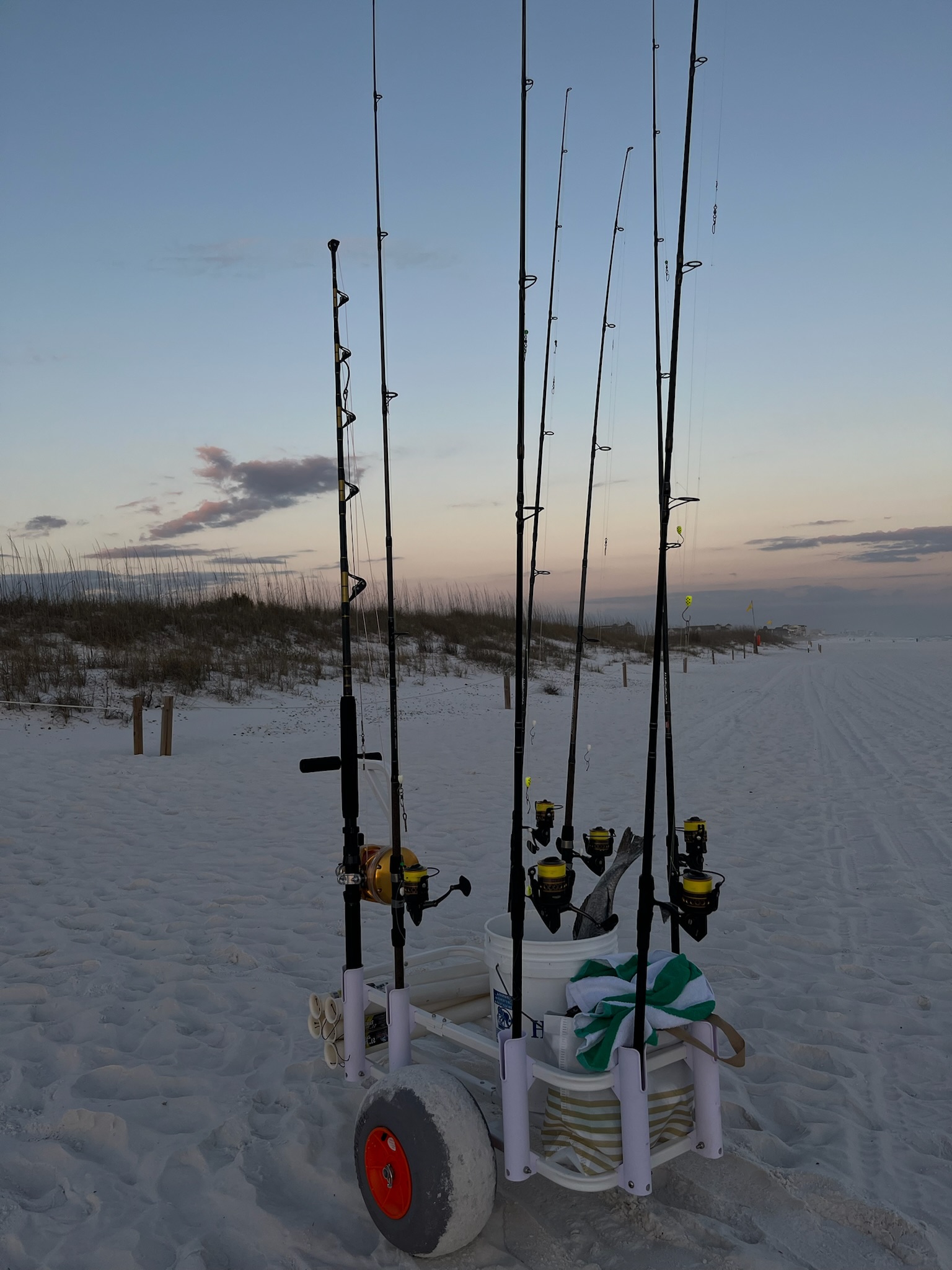 Tackle and bait package with fishing gear